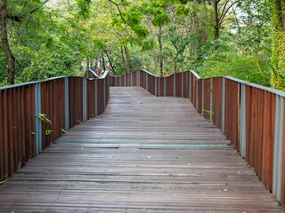 Winding wooden path through lush forest nature walkway tranquil environment serene view
