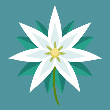 white flower on teal background clip art preview