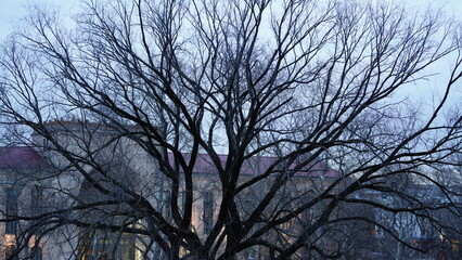 The Philadelphia city view with the skyscrapers and apartments buildings in it
