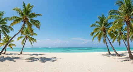Fototapeta premium Idyllic tropical beach scene with swaying palm trees, pristine white sand, and inviting turquoise waters under a bright sun