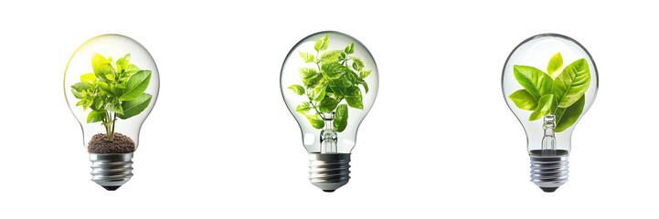 Light Bulbs with Green Plants Symbolizing Eco-Friendly Energy Ideas Isolated on a Transparent Background