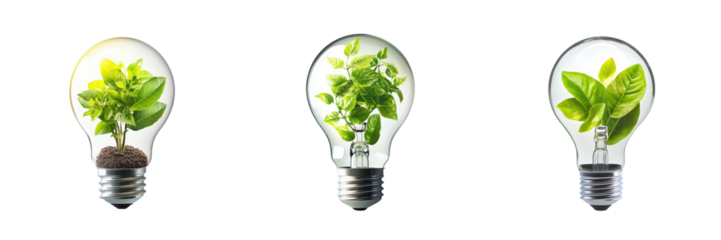 Light Bulbs with Green Plants Symbolizing Eco-Friendly Energy Ideas Isolated on a Transparent Background