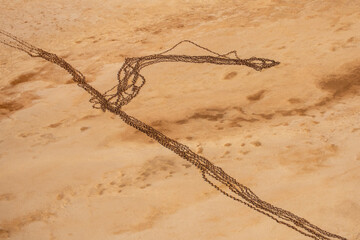 Aerial photograph of camels tracks in the red sandy desert of Lake Eyre-Kati Thanda following the arrival of water.