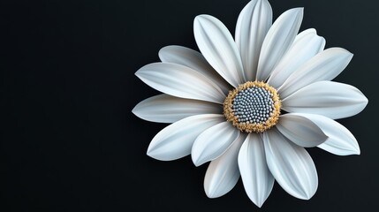 illustration of realistic flower on black background