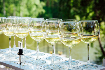 Close up picture of line of glasses with white wine or champagne at an outdoor party. Selective...