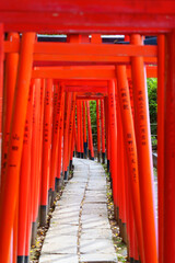 Japan beauty: red torii gate under sunlight