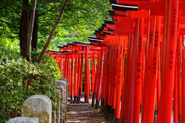 Fototapeten Japan beauty: red torii gate under sunlight © Kem