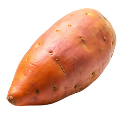 Single organic sweet potato isolated on yam red eat food diet fall farm on transparent background