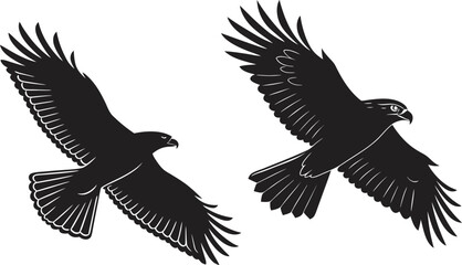 Obraz premium Pair of Hawks in Flight Vector Design of Majestic Birds with Outstretched Wings