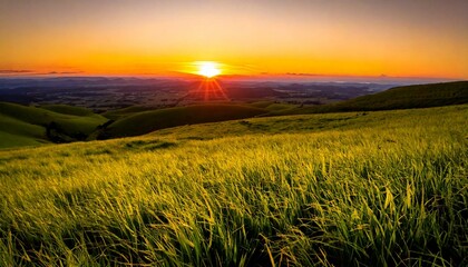 Green Grass and orange, yellow sky with hill background