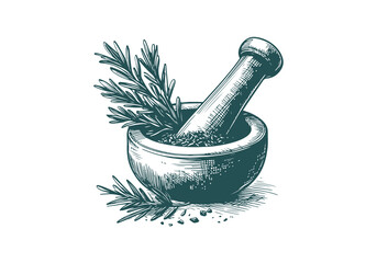 Herbs and Spices Hand Drawn Illustration Sketch Vector Isolated