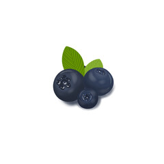 blueberries isolated on white