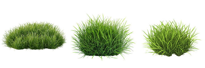 A Set of Lush Green Trimmed Grass Bushes for Outdoor Landscaping Isolated on Transparent Background