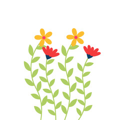 Spring Flowers
