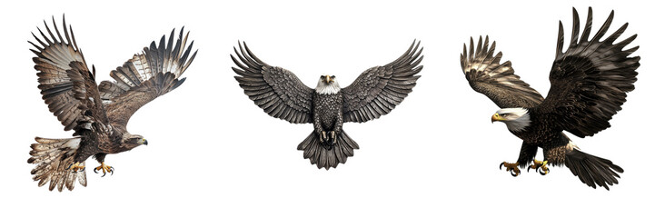 Obraz premium A Set of Fierce Bald Eagles Soaring with Outstretched Wings Isolated on Transparent Background