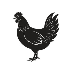 chiken vector illustration