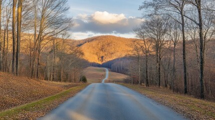 Obraz premium Paved road leads to mountains through a bare tree forest