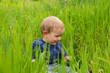 Happy baby smiling and playing in the tall green grass of a meadow in spring, enjoying the nature...