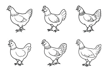 set of line art chicken silhouette with vector Drawing Illustration