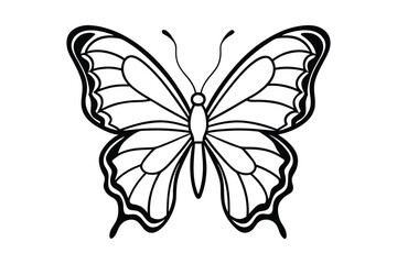 butterfly vector illustration Design