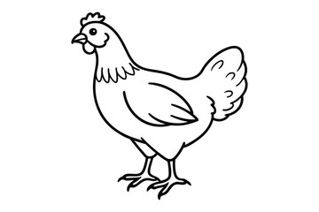 line art chicken silhouette with vector Drawing Illustration
