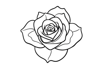 rose line art silhouette on white background