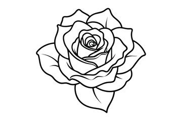 rose line art silhouette on white background