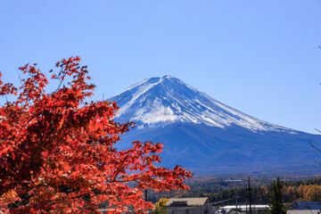 秋の晴天に煌く太陽と富士山の風景