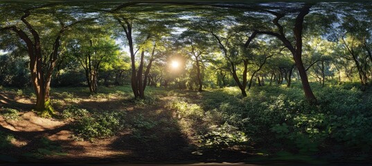 Sunny Forest Path in Lush Woods
