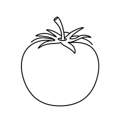 Simple Tomato Illustration: A simple black and white illustration of a ripe tomato, showcasing its classic round shape. 