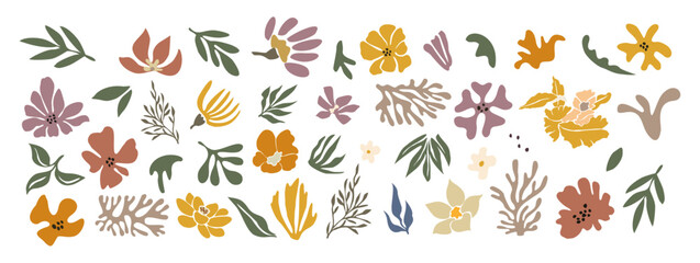 Set of hand drawn floral design elements, abstract shapes. Wild and garden flowers, leaves. Contemporary modern vector botanical art illustrations in trendy colors isolated