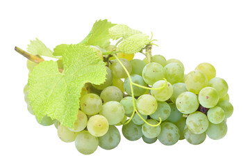 Bunch of green grapes isolated
