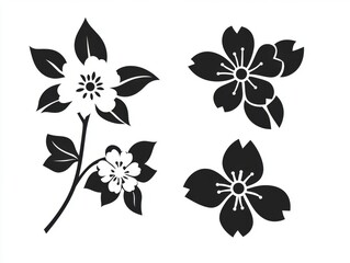Black and white floral design; isolated blossom; spring; graphic;  vector; illustration; background; design element; print
