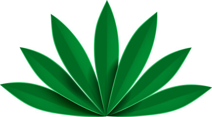 3d Tropical Leaf