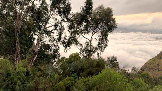 Aerial view of foggy mountain landscapes at sunrise seen from Usambara Mountain Range in Lushoto, Tanzania