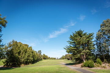 road in the park