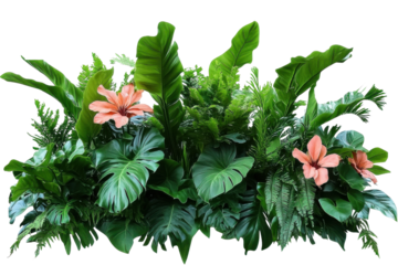 tropical floral arrangement on white background