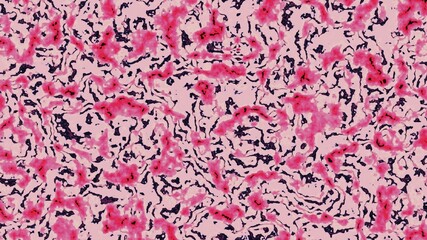 texture motif. texture pattern. marble motif. camouflage. abstract motif. ceramics. HD Resolution