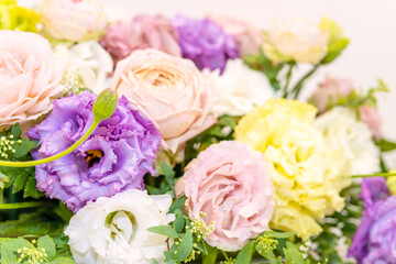 A close-up shot that highlights the beauty of a flower.