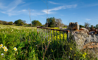 Landschaft und Natur im Februar, Mallorca, Spanien