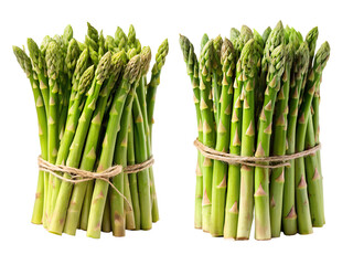 Asparagus set, Green asparagus, and asparagus collections isolated