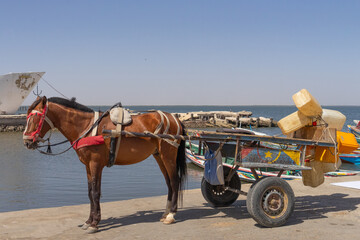 Viaggio in Senegal tra villaggi e natura africana