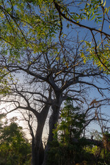 Senegal viaggio tra natura e villaggi in Africa