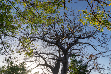 Senegal viaggio tra natura e villaggi in Africa