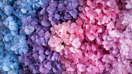 Pastel hydrangeas wall backdrop, floral design, wedding decor