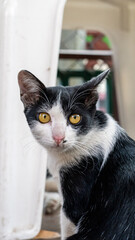 Thailand - Jan 2025 (Bangkok - Ao Nang - Koh Lanta - Koh Phi Phi - Phuket)