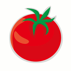 tomato vector illustration