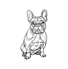 illustration of a  bulldog line art vector