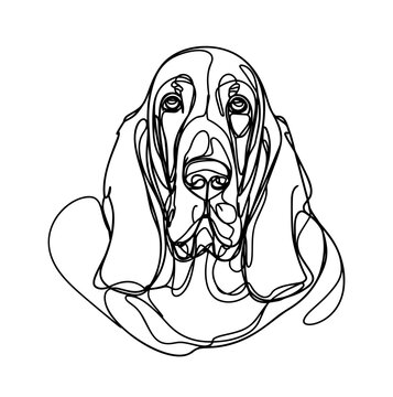 recommend clip art: illustration of a  Basset Hound line art vector