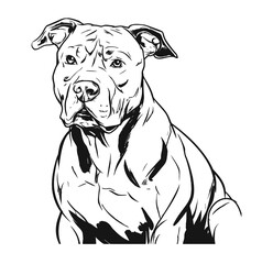 illustration of a  pitbull dog  line art vector
